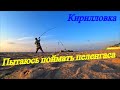 Я не рыбак !!! Кирилловка ловлю крупного пеленгаса на центральном пляже
