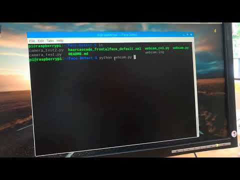 Raspberry pi Face detection 2  ( Run Python Code )