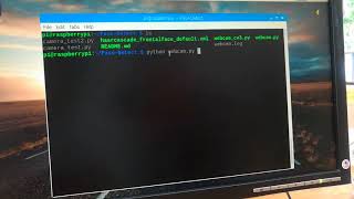 Raspberry pi Face detection 2  ( Run Python Code )