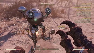 Fallout 76 - Mr. Bandit (A long lost son)