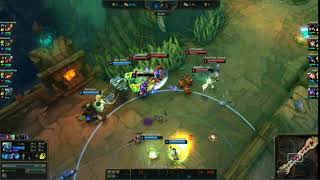 Fizz e bug