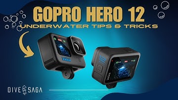 GOPRO 12 Underwater TIPS and my personal settings