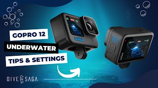 GOPRO 12 Underwater TIPS and my personal settings