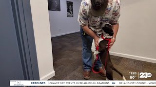 Wag Wednesday: Meet Cookie from Bakersfield Animal Care Center
