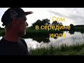 Как клюёт сом в середине июля. Неожиданные Выводы в конце видео.