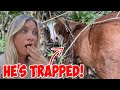 My Horse Got TRAPPED & COULDN'T GET OUT! *Had to Rescue Him*