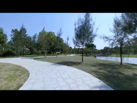 LG V40 Video Test Damn !!!
