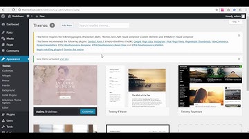 Brideliness WooCommerce WordPress Theme Installation