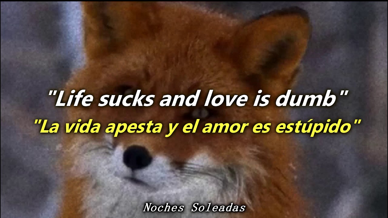 Born Ruffians - Foxes Mate For Life (Sub Español/Lyrics)