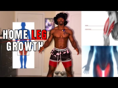 Full Lower Body Home Workout for Quads, Hamstrings, Glutes, Calves & Groins | No Equipment Needed
