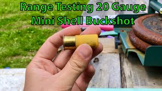 Range Testing 20 Gauge Mini Buckshot Shells
