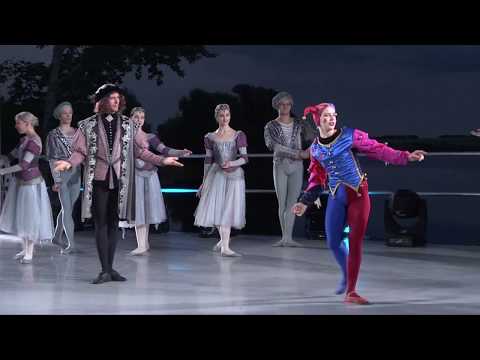 РУССКИЙ БАЛЕТ 'Лебединое