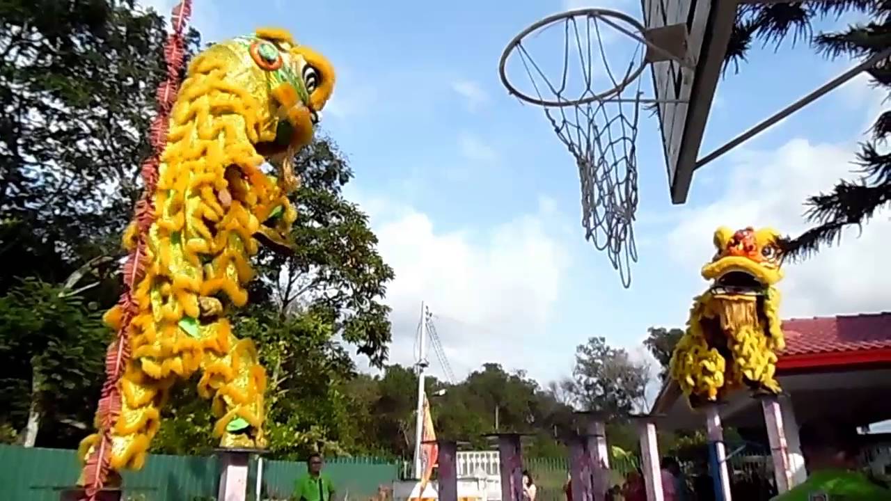 YickNamLionDance TEAM B1 & B2- VIP LOTS