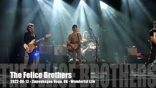 The Felice Brothers - Wonderful Life - 2022-06-12 - Copenhagen Vega, DK