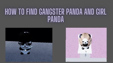 How to find gangster and girl panda!