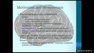 Biopsychology Chapter 6