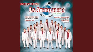 Cabecita Dura - La Arrolladora Banda El Limón De René Camacho