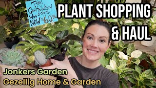 $60 Huge Monstera Thai Constellation - Plant Shopping & House Plant Haul - Jonkers Garden & Gezellig by Plant Life with Ashley Anita 19,009 views 2 months ago 38 minutes