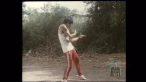 John Fong - Training With Pan Lei