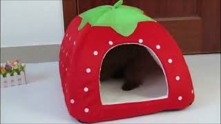 Cosy Soft Foldable Pet’s House screenshot 5