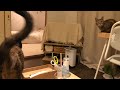 トドさんに元気玉送るよゲリラ生配信