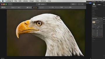 Textures in LUMINAR 4