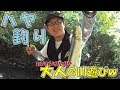 ハヤ釣り！のんびり大人の川遊びｗ の動画、YouTube動画。