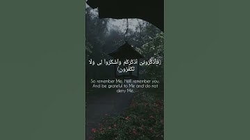 ( فٱذكرونىٓ أذكركم وٱشكروا۟ لى ولا تكفرون) سورة البقرة الآيه 152 قرآن _ Quran.