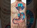 Stomach Acid: How Your Body Survives Its Own Acid (with protein digestion as the key function)
