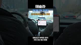 테슬라 겨울철 관리팁