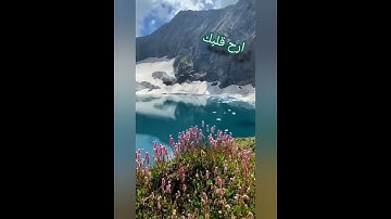 (شهر رمضان الذي انزل فيه القرآن ..)سوره البقرة تلاوه تريح القلوب 🌷🌹❤️