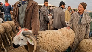 اليوم من سوق حد البروج مع ثمن حولي عيد الأضحى بتاريخ (28 ماي، 2023)