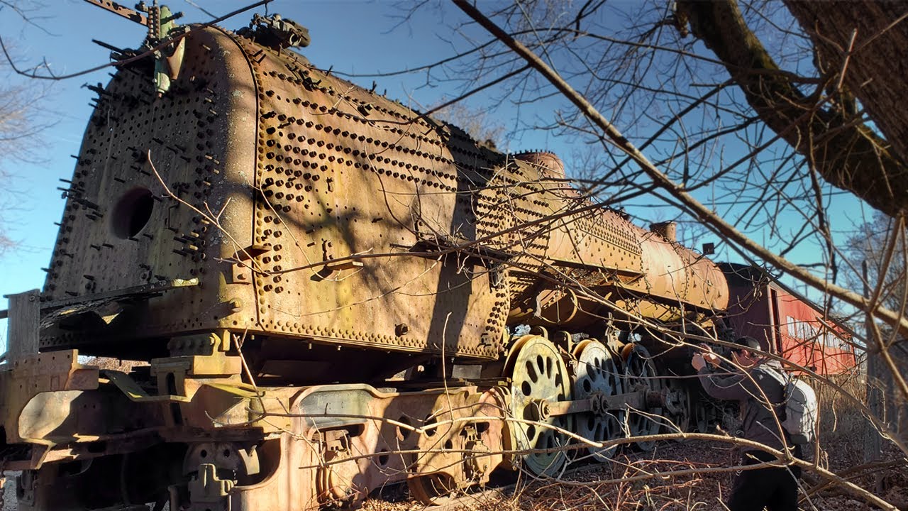 Итак, мы гуляли по лесу...