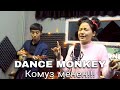 Tones and I - DANCE MONKEY (cover by NurCholpon)