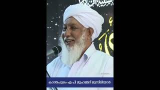 A.p Muhammed Musliyar