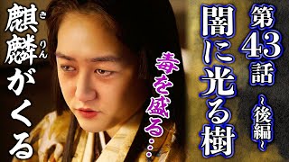 [麒麟がくる] 第43回『 闇に光る樹②』佐久間追放の理由/武田勝頼の滅亡などスルー内容を詳しく解説！