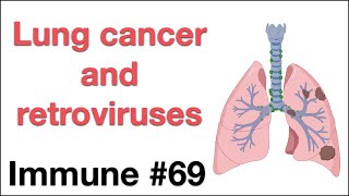 Immune 69: Lung cancer and retroviruses