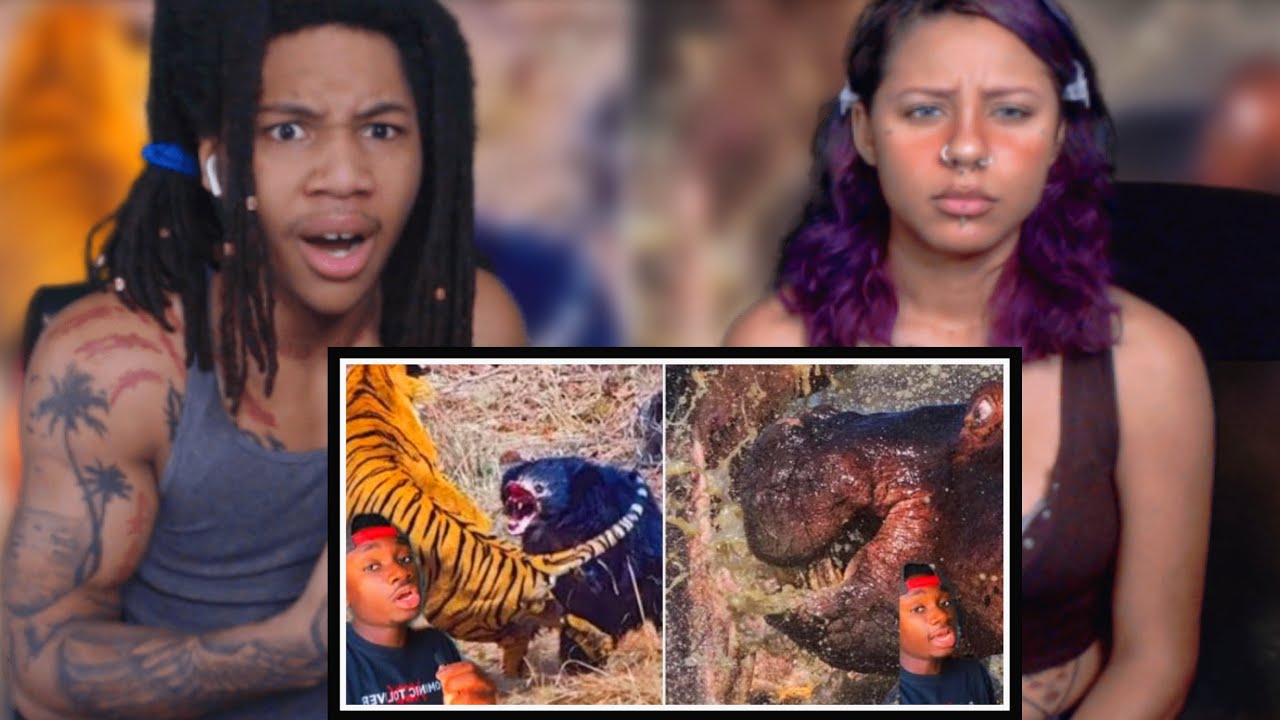 10 Horrible Ways Animals Can End You (Casual Geographic) | REACTION