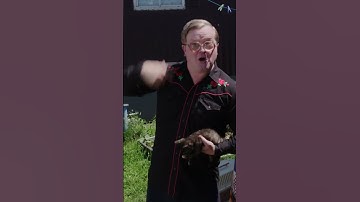 Trailer Park Boys - Definition of Insanity