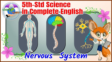 5th Std | Science | Term-1| Unit-01 | Organ Systems | V | 1.5 | Nervous System | Complete English