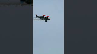 Flugtag St. Michaelisdonn 2024 #aeroplane #aerobatic #aerobaticpilot