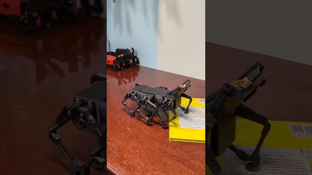 Six legged walking robot with flexible body from VN ROBOT