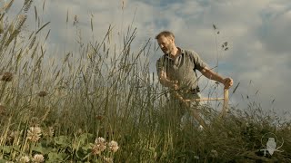 2022 Making A Little Hay With A Scottish Scythe