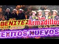 Los Armadillos de la Sierra, Los Benitez de la Sierra - MAS CORRIDOS NUEVOS MIX 2024