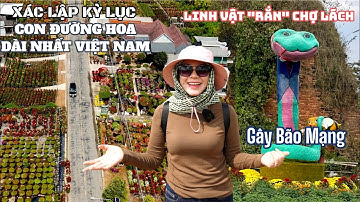 Con Đường Hoa LẬP KỶ LỤC dài nhất VIỆT NAM 15KM và Linh vật RẮN CHỢ LÁCH gây bão mạng | SHVLOG #817