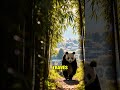 Pandas: ¡Turismo Responsable! 🐼