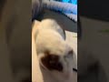 Cute??