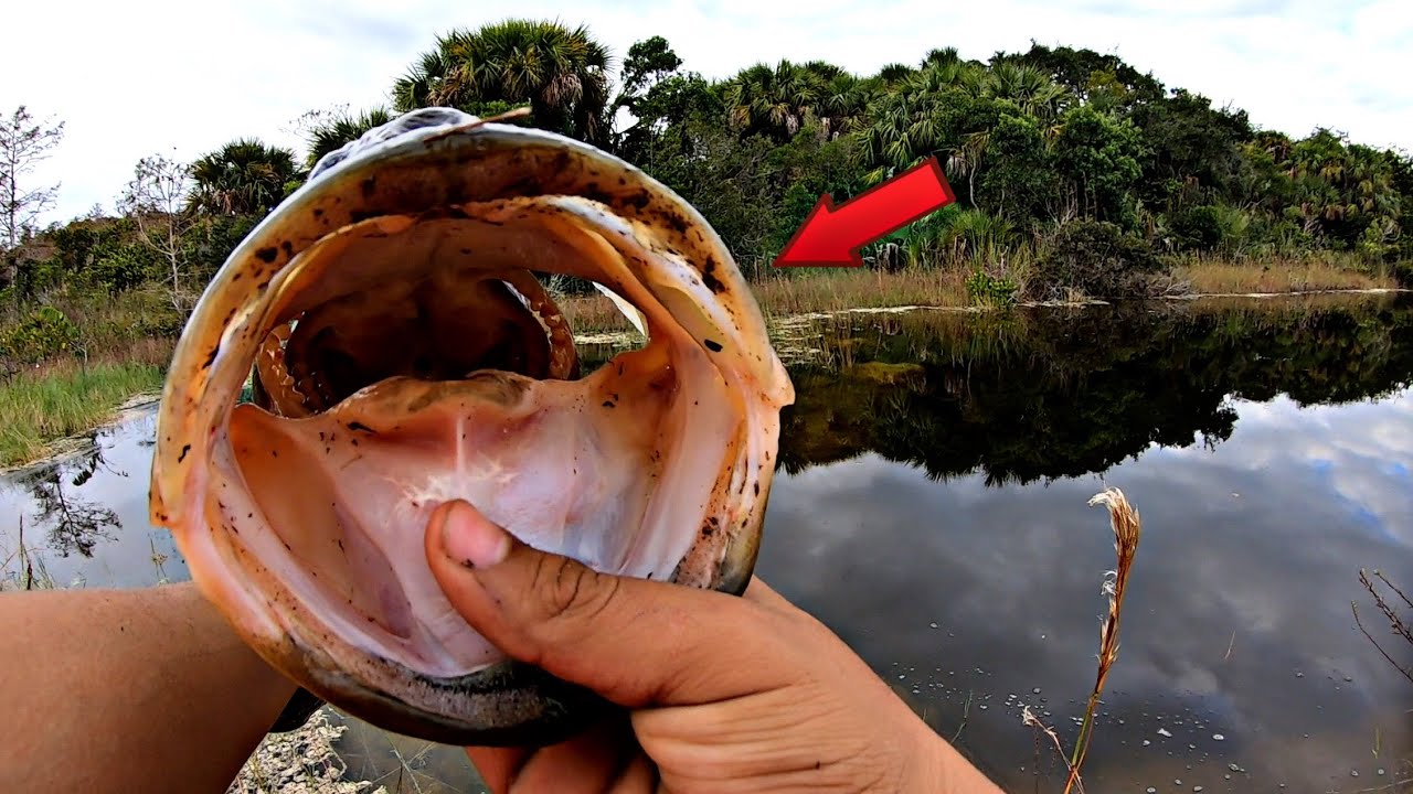 Fishing BIG Worms for BIG BASS! (New PB?!)