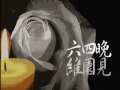 自由花字幕版 自由花字幕版