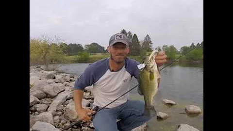 Joey plunkett conservation vid